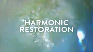 Harmonic Restoration  111Hz, 222Hz, 444Hz, 888Hz  Self-Healing Meditation Soundscape