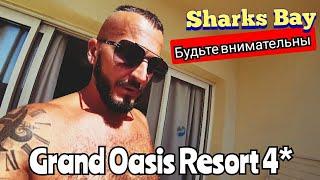 Египет  Семь раз в один отель? Grand Oasis Resort 4* Сохо  Sharks Bay Подводный мир Обед