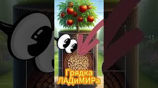 Экономное садоводство: Три способа превратить обрезанные ветки в пользу!