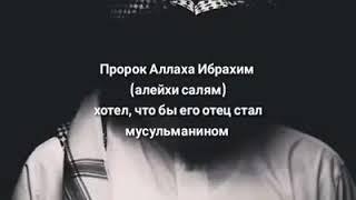 Альхамдулиллях я мусульманин!!