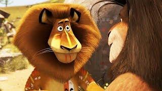 DreamWorks Madagascar | Madagascar Fight Contest | Madagascar : Escape 2 Africa | Kids Movies