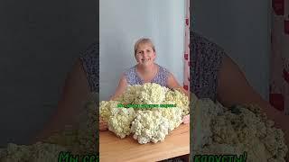Этому ролику ровно один год