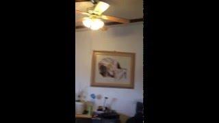 Living area and ceilings