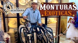 Monturas Exóticas l La Herradura