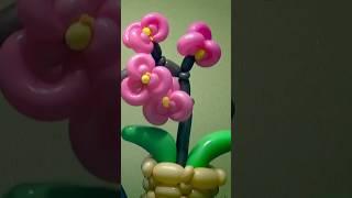 How to make an Orchid flower from balloons #shorts #balloonstuts