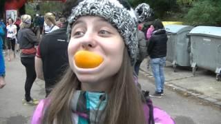 VOKOLO PRÍGLU  2015