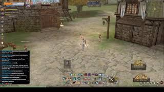 Нелегкая игра за Карателя/LineAge 2 essence/8.01