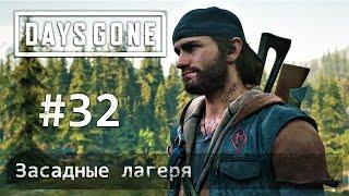 ВСЕ ЗАСАДНЫЕ ЛАГЕРЯ В DAYS GONE