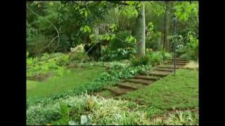 Planting For A Shady Garden