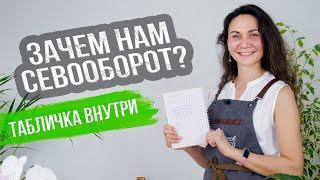 Что после чего сажать? + Таблица севооборота