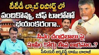 Supreme Court And PM Modi Serious Warning To CM Chandrababu ? | Tirupati Issue Viral | Daamu