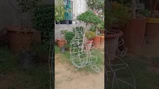 how to make topiary #rabbit #topiary #plant #design #gardening #video