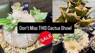 Best Cactus & Succulent Sale in Canada?! Plant shopping @ Toronto Cactus & Succulent Club (Part 1)