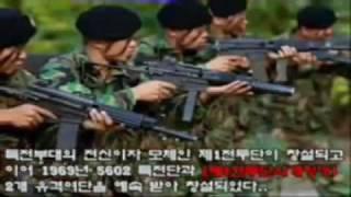 Korean Special Warfare Command (Airborne Troops)