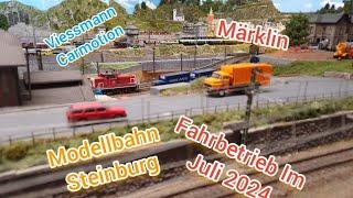 Modellbahn Steinburg: Fahrbetrieb im Juli'24.