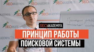 Принцип работы поисковой системы. Павел Шульга (Академия SEO)