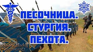 Кампания #1 в Mount & Blade Bannerlord. Стургия