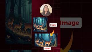 Ultimate Text to Video & Image to Video AI Video Generator   | AI Video Generator  #ai #shorts
