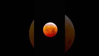 5 hours timelapse of the Lunar Eclipse from a telescope #lunareclipse #bloodmoon