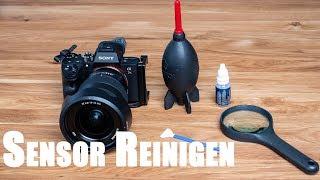 Sensor Reinigung Sony A7R III Kamera