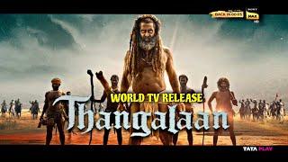 Thanglaan | World TV Release | Thanglaan Hindi OTT Release Date & Satellite Premiere Update 