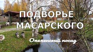 ЭКОТУРИЗМ в России. ОБЗОР МАСАРСКОГО ПОДВОРЬЯ. Путешествия по России/ Russia