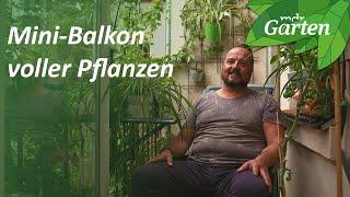 Wilder Wein, Tomaten und Dschungel auf dem Balkon | Traum-Balkongarten in Leipzig | MDR Garten