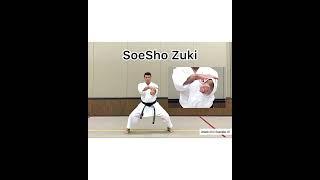 SKO Karate WR. Kata Tekki Sandan Shotokan