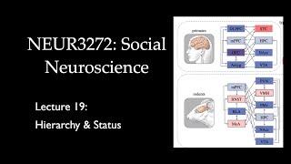 Lecture 19 Hierarchy & Status