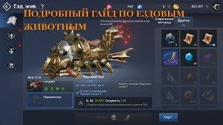 Lineage 2: Revolution - Подробный гайд по ездовым животным