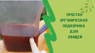 Простая органическая подкормка для  овощей