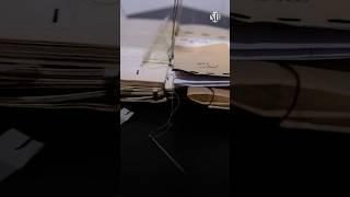 Labirent Sanat’ta Yeni Sergi: Doğal Paradokslar