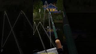#рр4 #русскаярыбалка4 #russianfishing4 #рыбалка #русскаярыбалка4стрим #русскаярыбалка4фарм #рр4стрим