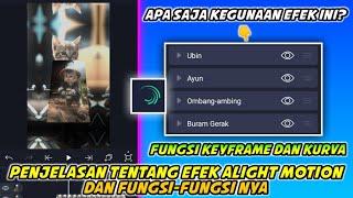 Penjelasan Tentang Efek Alight Motion Dan Kegunaannya || Fungsi Efek, Keyframe, Dan Kurva