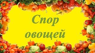 Теневой театр. Осенняя сценка "Спор овощей" 11 гр.