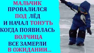 Мальчик провалился под лёд и начал тонуть,появилась ВОЛЧИЦА,и...Истории  из Жизни Аудио Рассказ