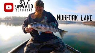 Fishing Norfork Lake with Wild Willy | Striper | Crappie