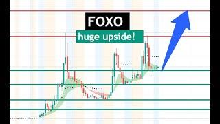 #FOXO  monster move! after $1 break can fly crazy $FOXO