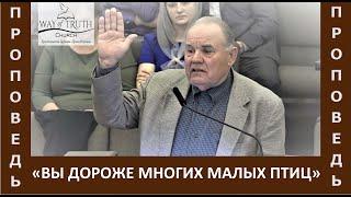 Проповедь "Вы дороже многих малых птиц" - Церковь "Путь Истины" - Апрель, 2021