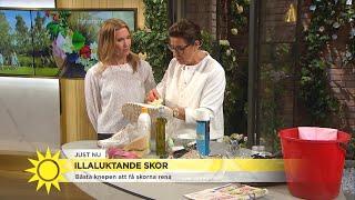 Bästa tipsen mot illaluktande skor - Nyhetsmorgon (TV4)