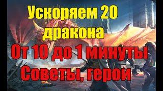 Raid ускоряем 20 дракона гайд