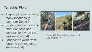 Climate Change in the Southern Halves of Spain and Portugal Through Paleo-Proxy records