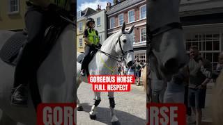 GORGEOUS POLICE HORSES. CHANGING THE GUARD WINDSOR CASTLE‍️ #fyp #shorts #animallovers #horse