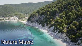 Nature Music " Pine Street, Moonrise & Turned to Duts