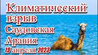 В Саудовской Аравии произошёл климатический взрыв наводнение град изменение климата.