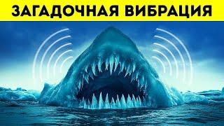 Леденящие душу открытия Антарктиды, скрытые подо льдом. Интересные факты ледяной пустыни