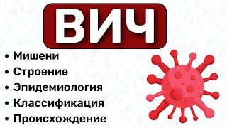 ВИЧ: строение, пути передачи, иммунология ВИЧ