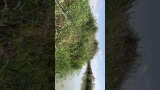 11 августа 2019 г.