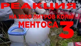 РЕАКЦИЯ НА 1000 ЛИТРОВ КОЛЫ VS МЕНТОС 3