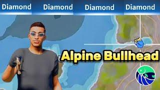 Diamond Alpine Bullhead|The Angler Call Of The Wild:The Angler